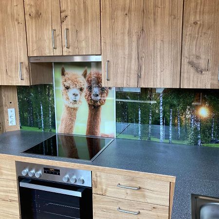 Alpakaglueck Apartment Muhlbach  Ngoại thất bức ảnh